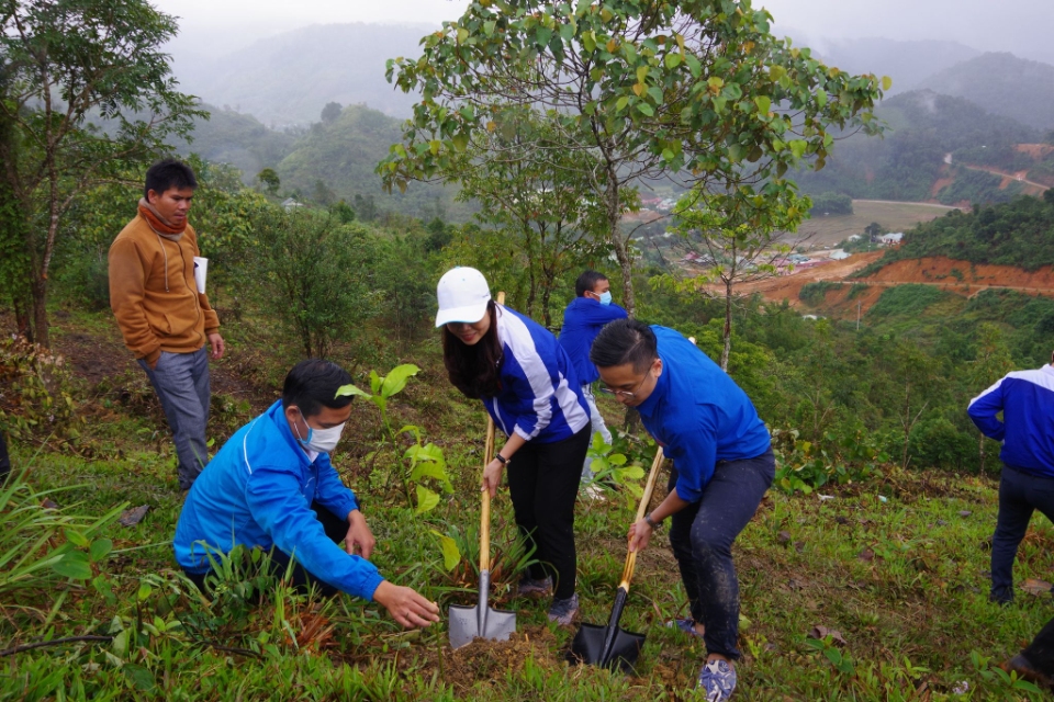 Bilan du programme Millions d arbres - Pour un Vietnam vert en 2021